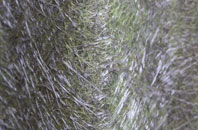 Alder Forest fibreglass roof work