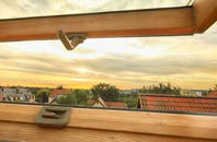 rated Alder Forest roof window companies